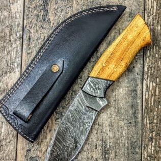 Camping Functional Beauty