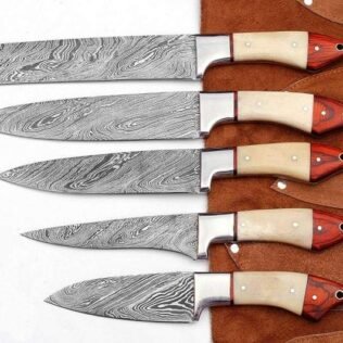 Set of 5 Custom Handmade Damascus Steel Chef Knife with Bone & Wood Handle
